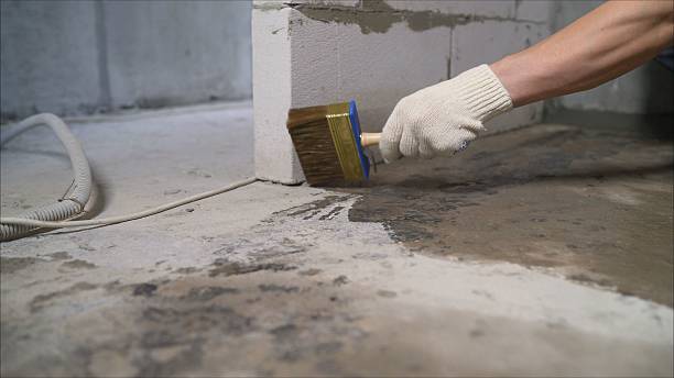 SJ Waterproofing Pros Sump Pump Installation coverage map for Holt, MI and surrounding area